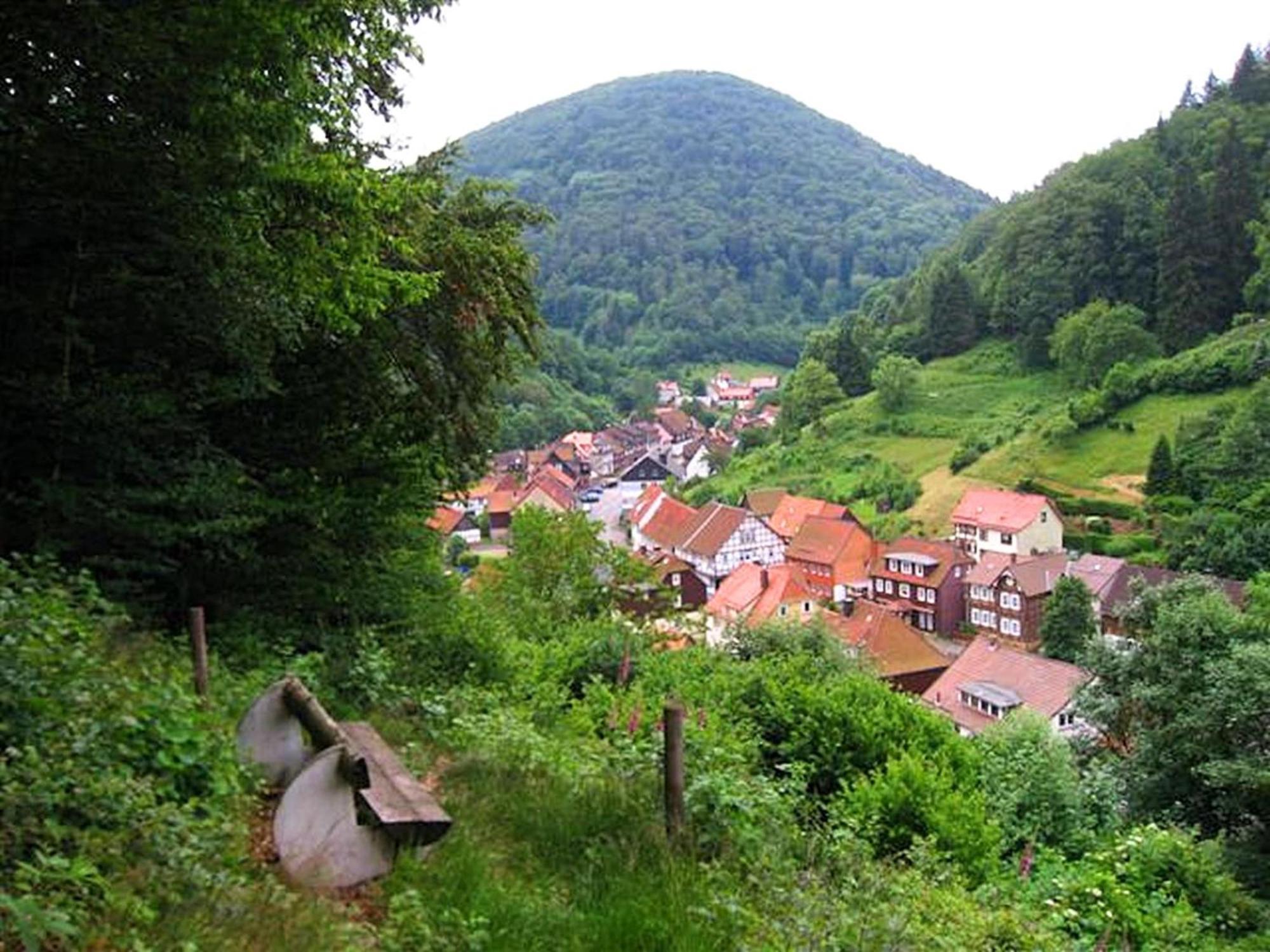 Spacious Group House In The Harz Region Zorge Esterno foto