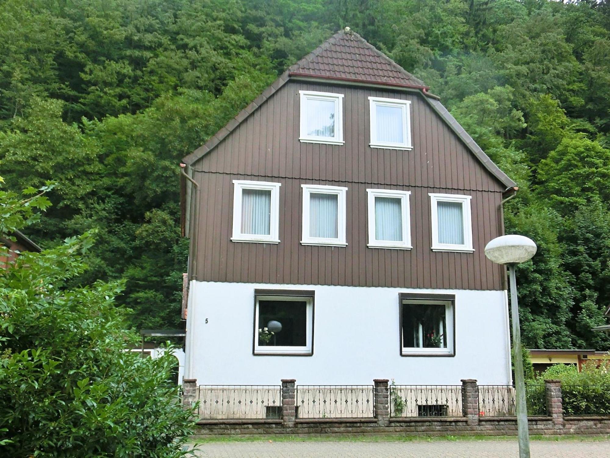 Spacious Group House In The Harz Region Zorge Esterno foto