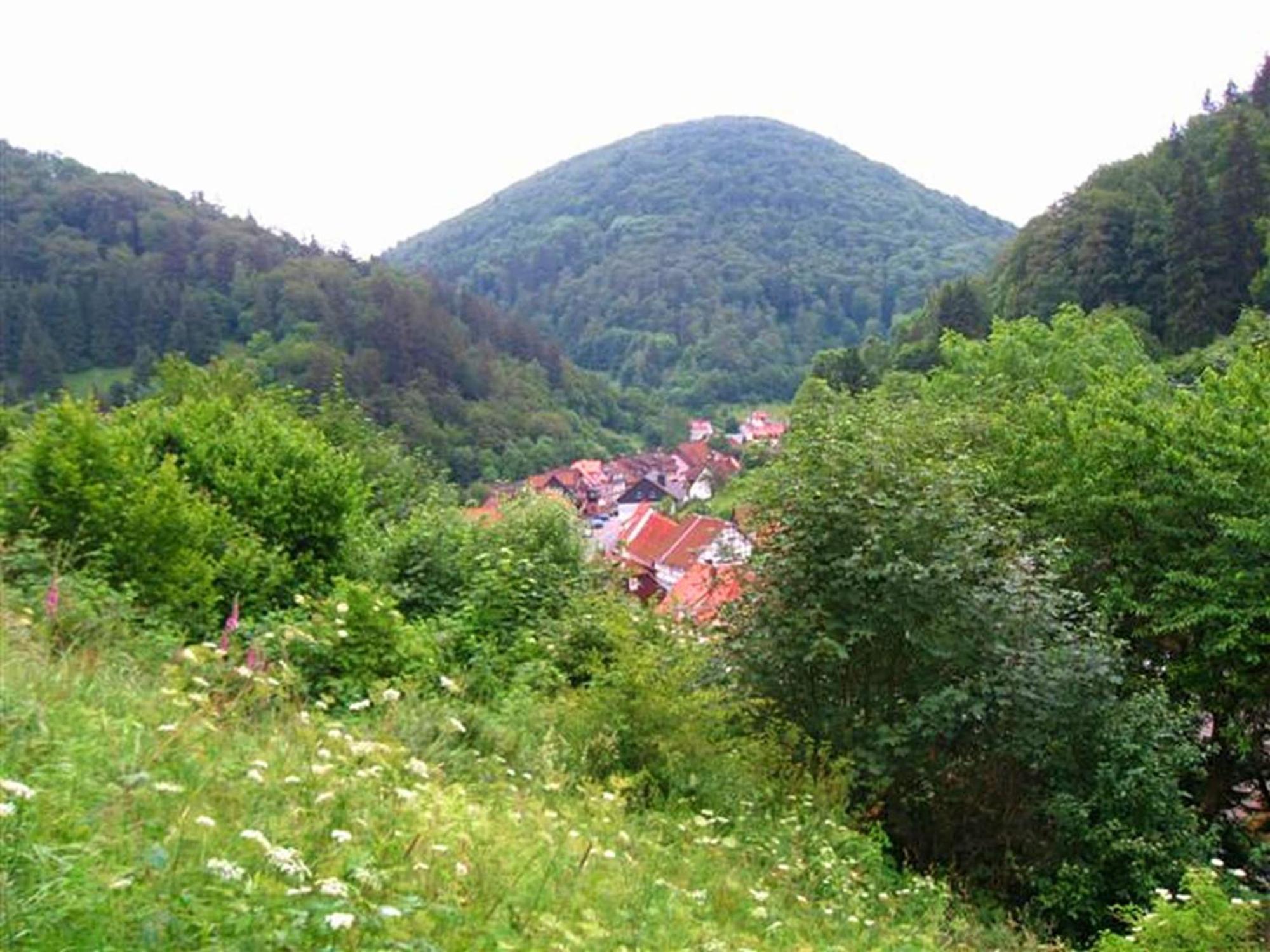 Spacious Group House In The Harz Region Zorge Esterno foto
